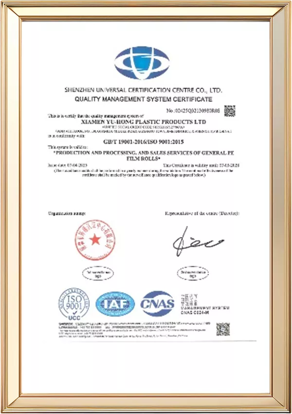 Certificate 8